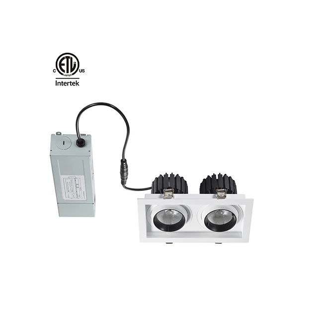 Star Series ETL CE RoHs Certified LED Downlight Double Lamps Super Fashion Model 12W For Living Guest Meeting Hotel Room