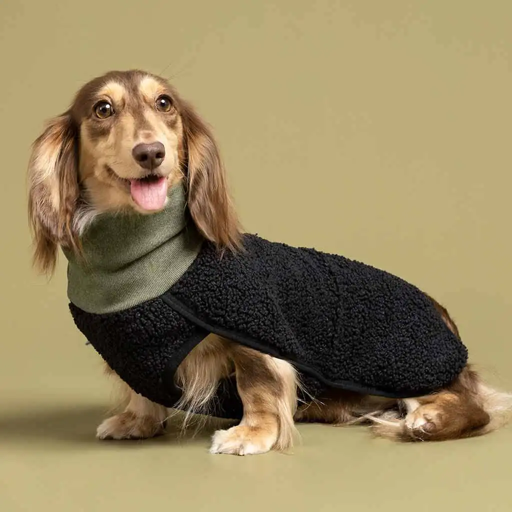 Qiqu Pet supplies custom New designer luxury Sherpa Turtleneck Dog Sweater pet Clothing For Dogs Dog Jersey for dachshunds