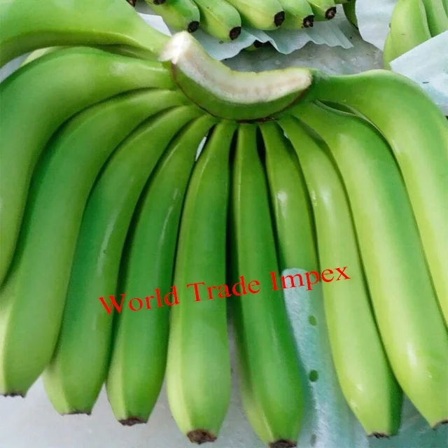 
fresh indian cavendish banana for sale 