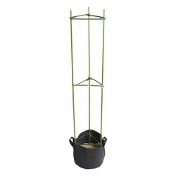 Factory Outlet Creative Wall Mounted Succulent Garden Flower Plant Tomato Cage Climbing Frame
