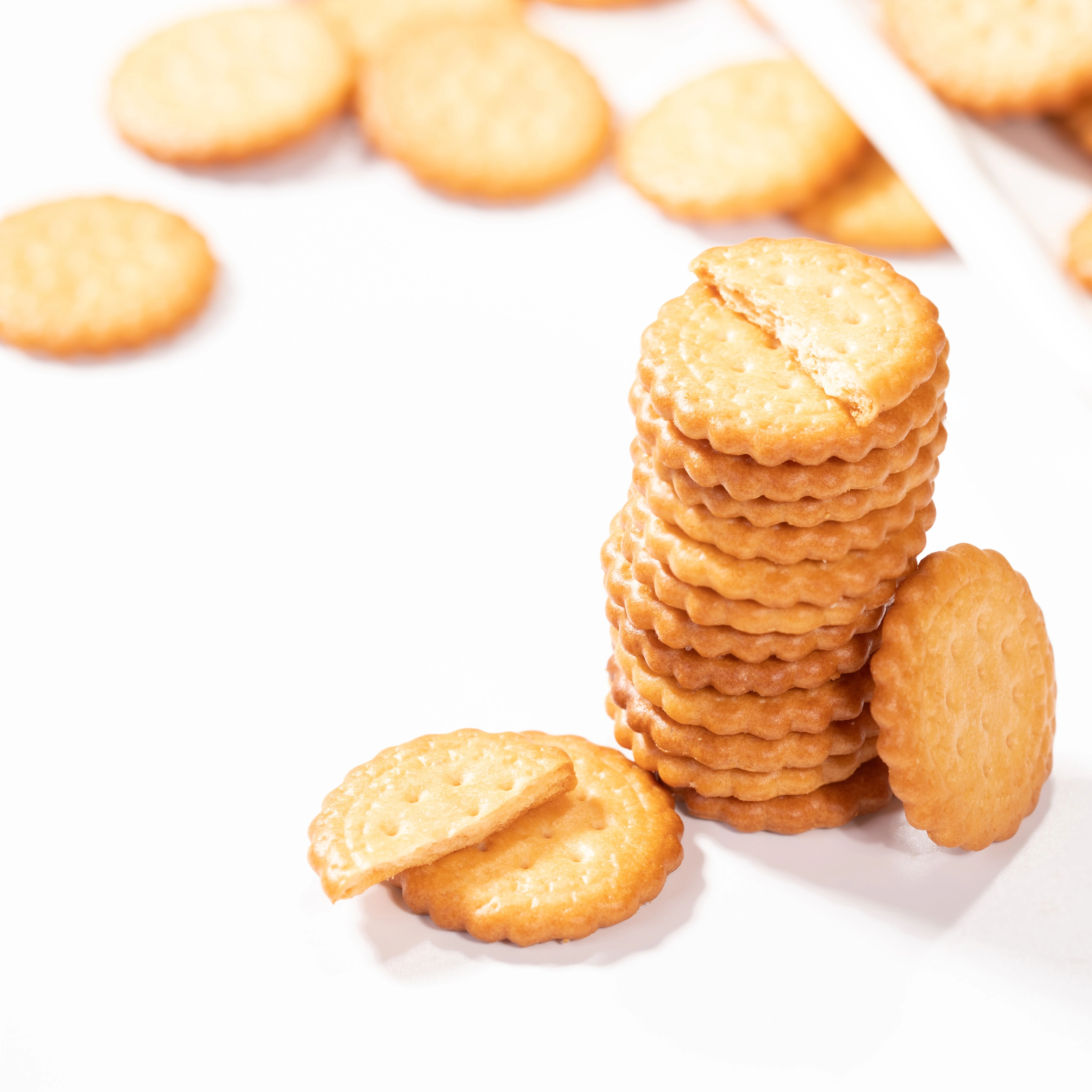 Cardy Japanese Round Biscuits Afternoon tea  Birthday Party Top Quality Best selling