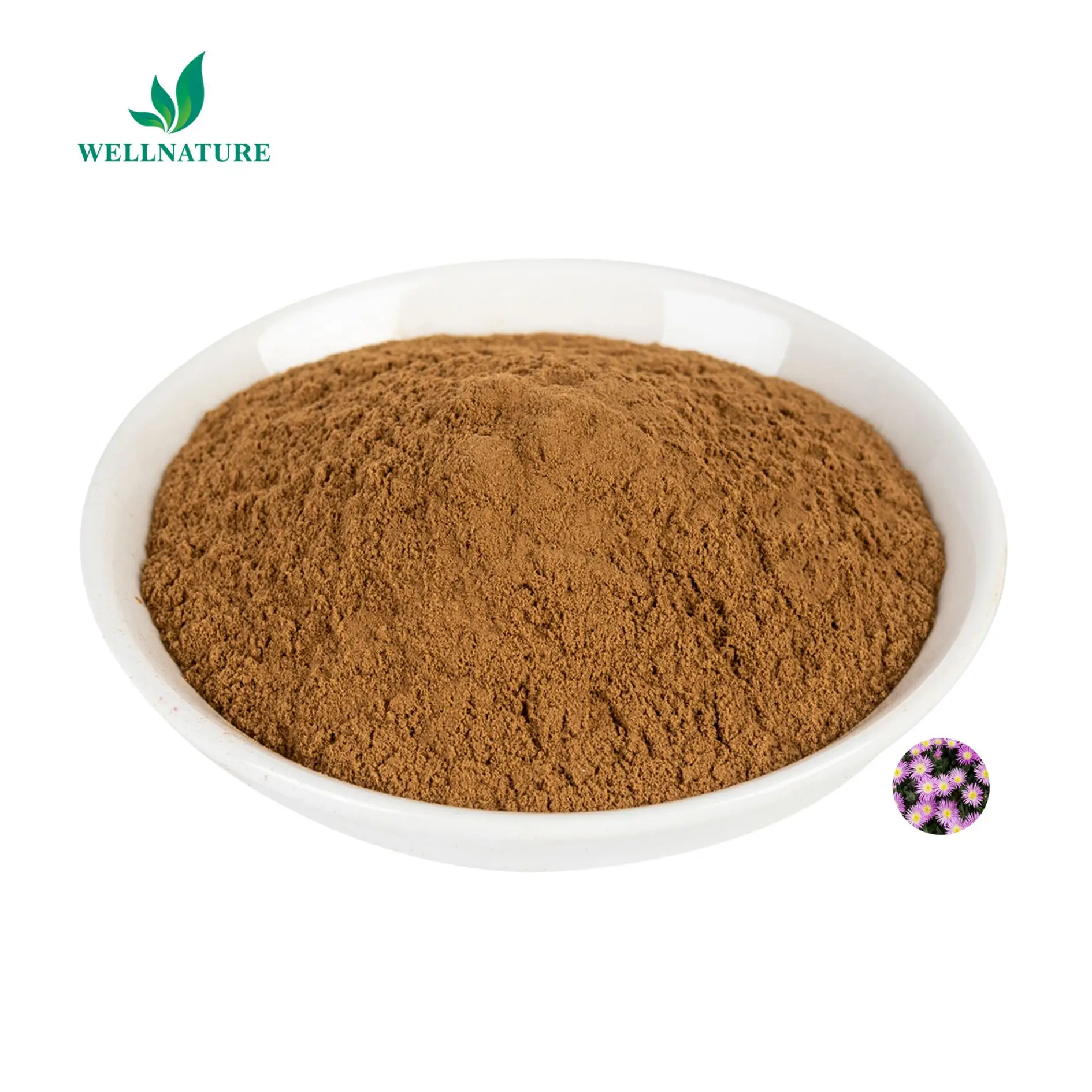 Wholesale Kanna Extract Powder 100:1 Sceletium Tortuosum Extract Mesembrine Powder for Food Additives