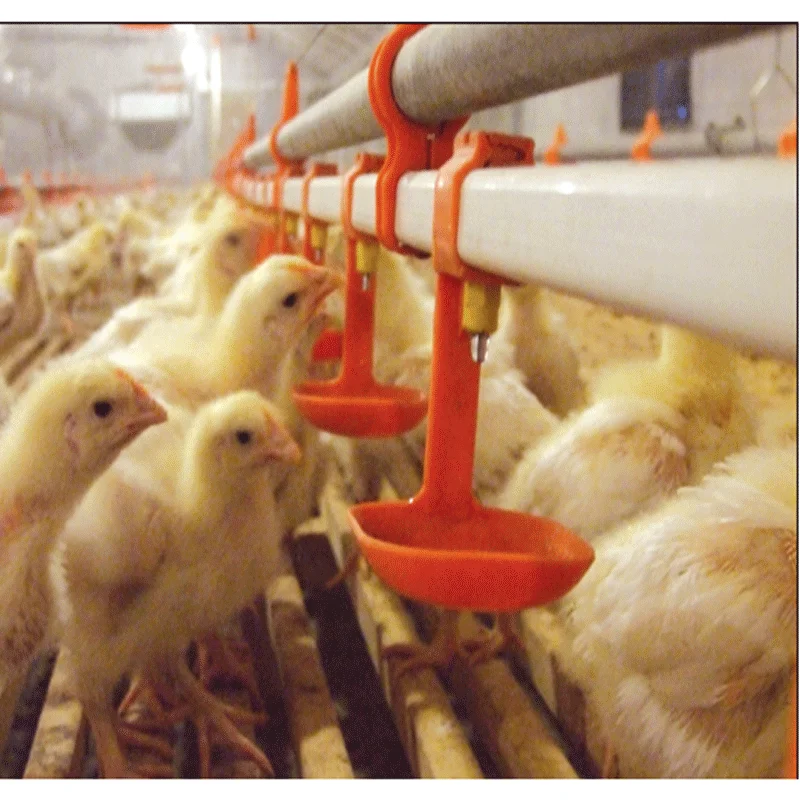 Factory Price Automatic Broiler Feeding System Chicken Farm House Ground Poultry Feed Equipment Broiler Floor Feeder