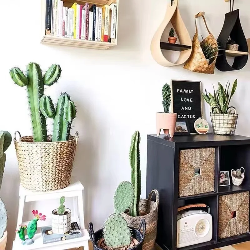 Wholesale different kinds pot cactus plant bonsai home office desk decoration