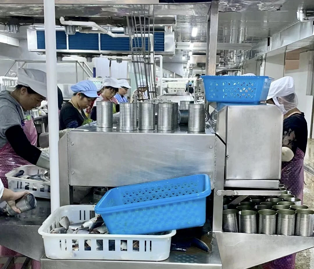 
Best quality canned sardines fish from morocco in vegetable oil 125g 