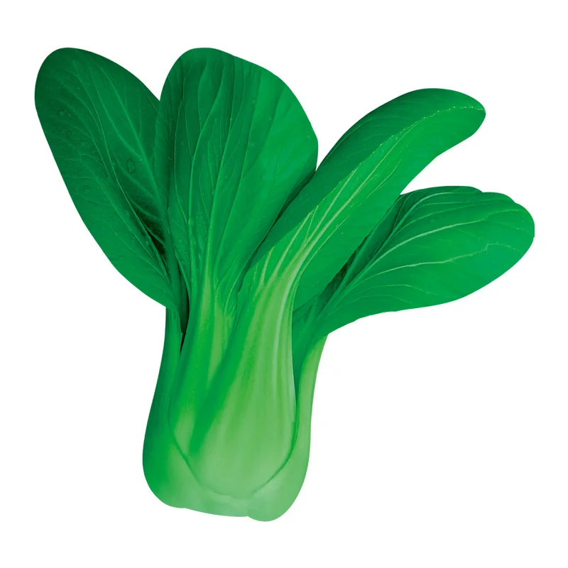 Семена овощей из китайского стебля семена зеленого для