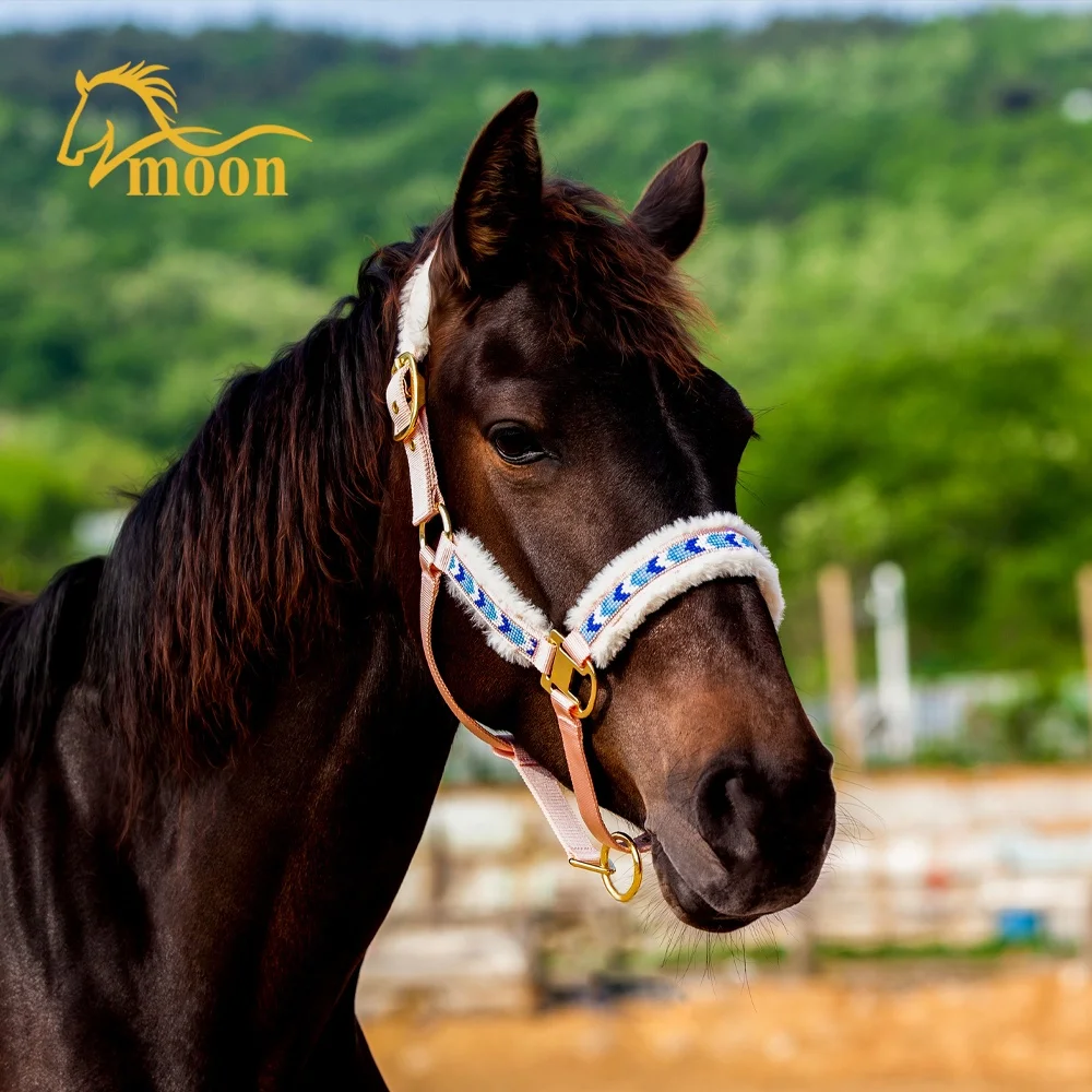Top Quality Horse Driving Harness Set with Soft Padded Nylon Horse Racing Halter with Rein Pink Black Green Print
