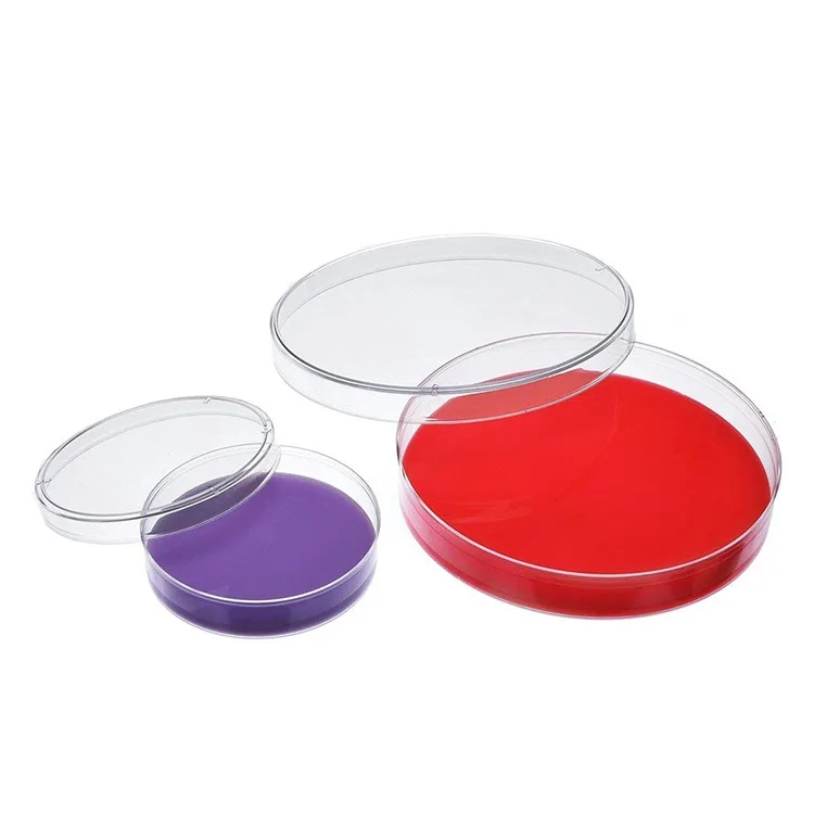 
different size petri dish types of petri dishes 