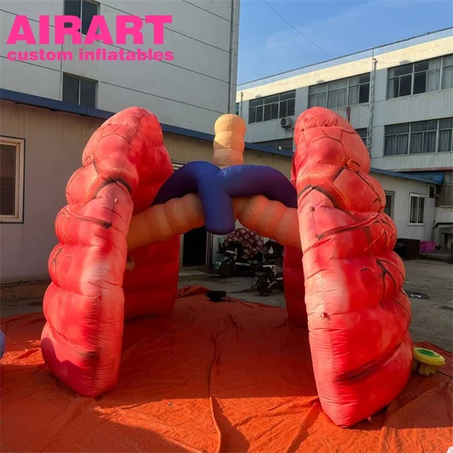 Healthy inflatable lung model, factory price inflatable lung for outdoor advertising