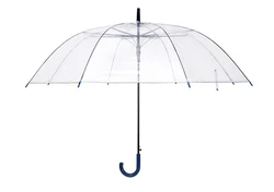 27 Inch Cheap  Transparent Clear Straight Umbrella with logo prints