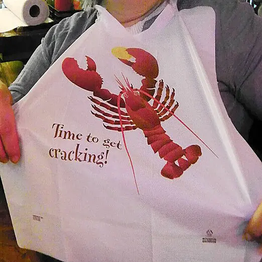 Disposable Bibs 30/50/100 Pack - Plastic Disposable Adult Bibs for Elderly, Dining Clothing Protectors