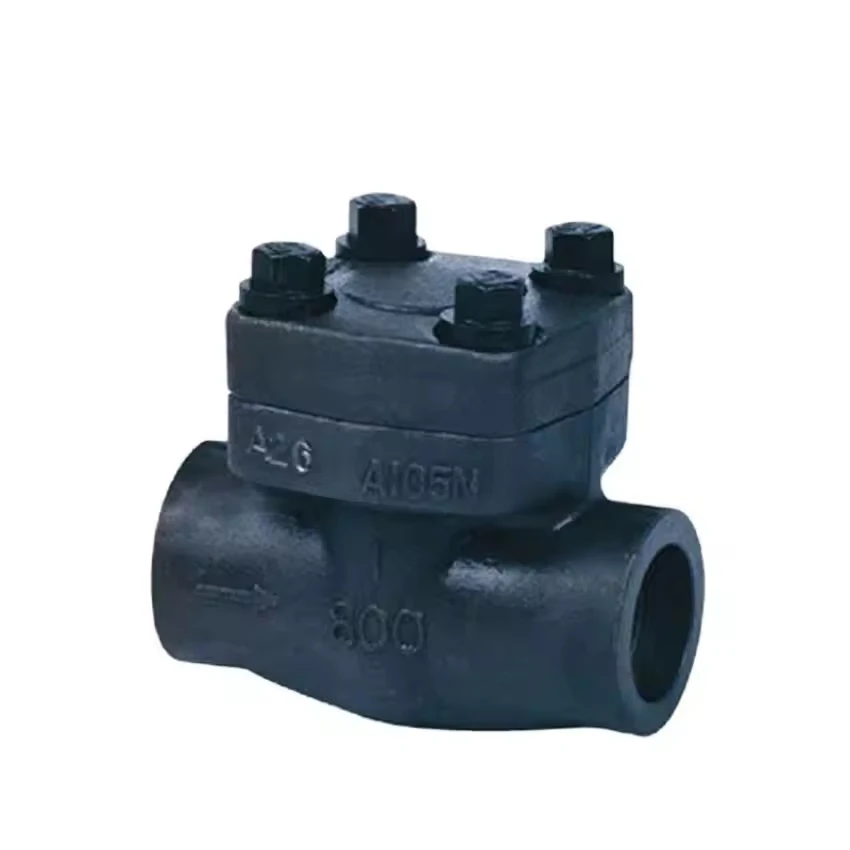 DN32 304 316L  Non Return Swing Check Valve High Quality Wholesale Stainless Steel Vertical Check Valve