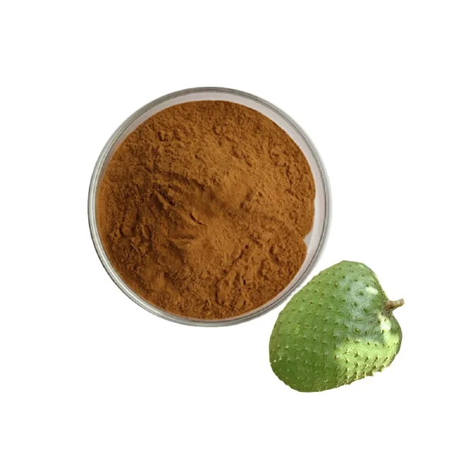 Factory Supply Graviola fruit Extract Soursop Powder Banaba Leaf Extract