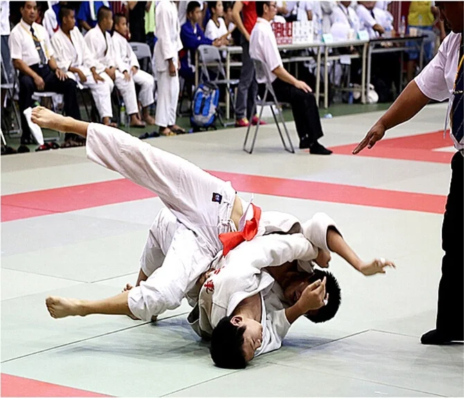 IJF TATAMI JUDO MAT