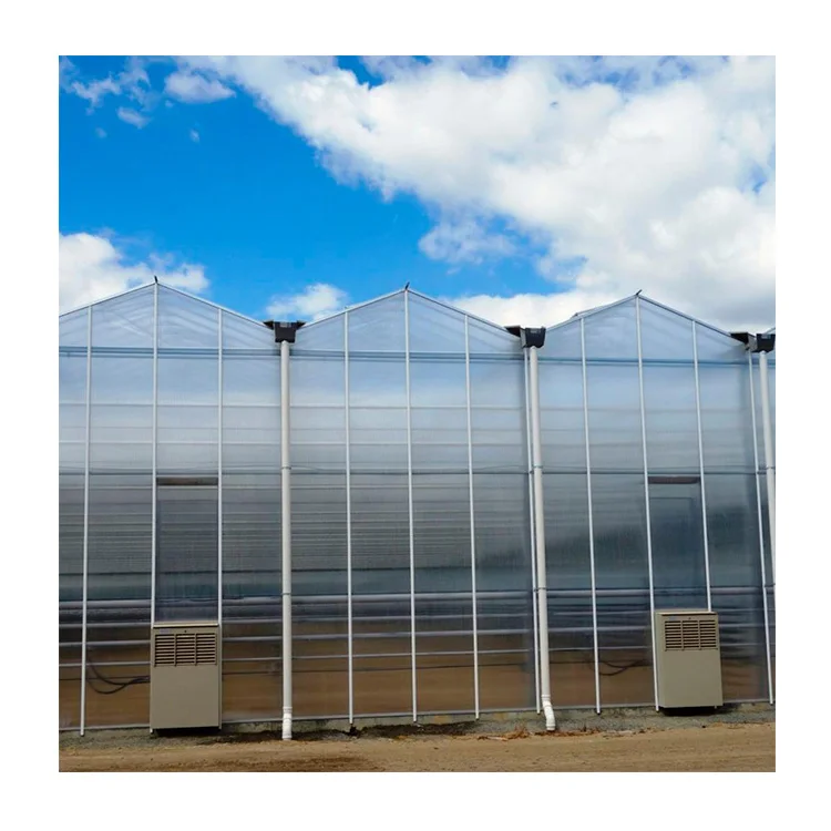 
Hot Selling Commercial Multi-Span Polycarbonate Greenhouse 