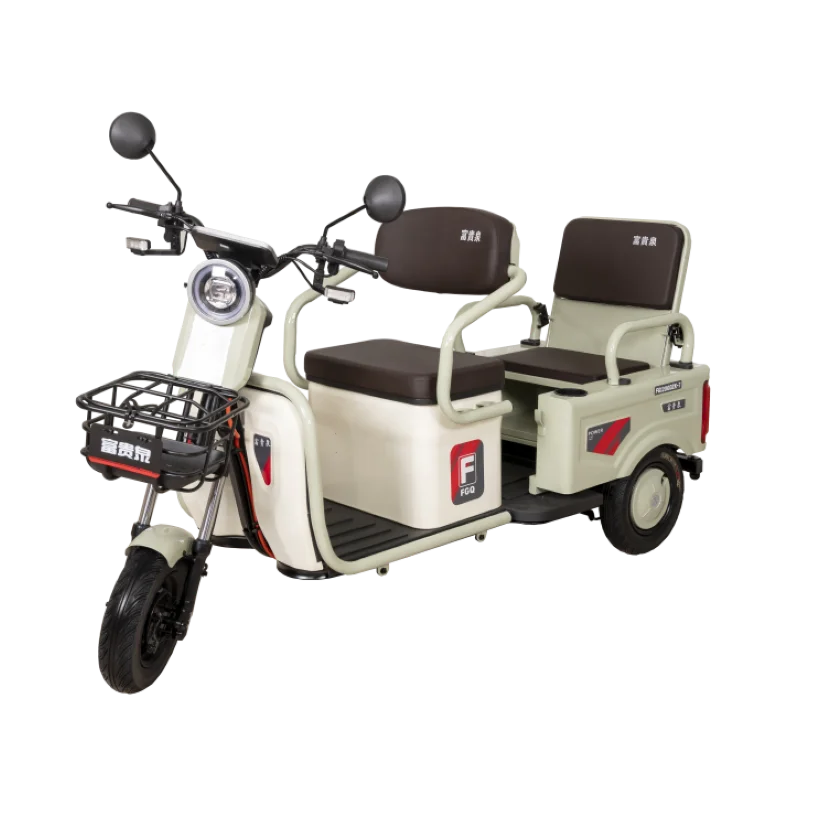 Small Cargo and Passenger E-bike Leisure City Family Three Wheel  Tricycle  Dual Cargo and Passenger Electric Tricycle