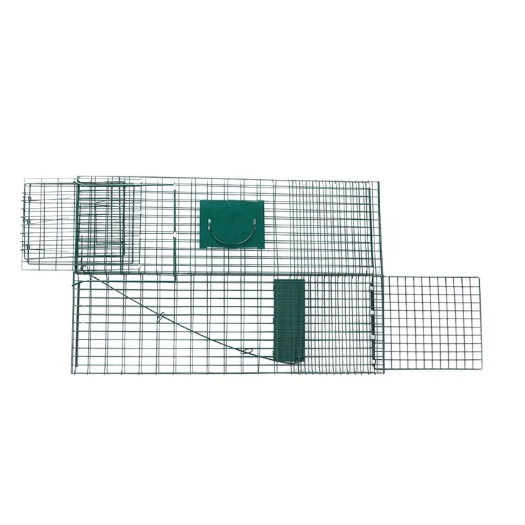 The squirrel buster The iron mouse trap