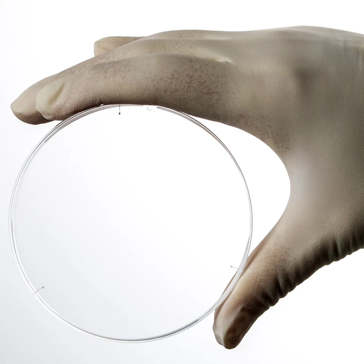 2021Clean Workshop Manufacture Disposable Sterile Round Plastic Petri DIsh