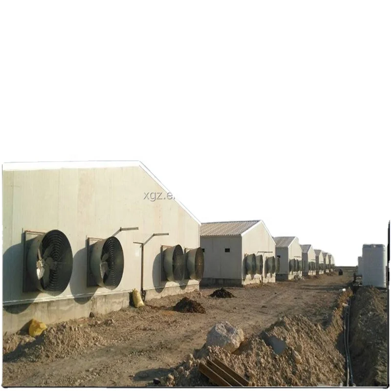 design Industrial Poultry layer Farming Equipment/Chicken farms