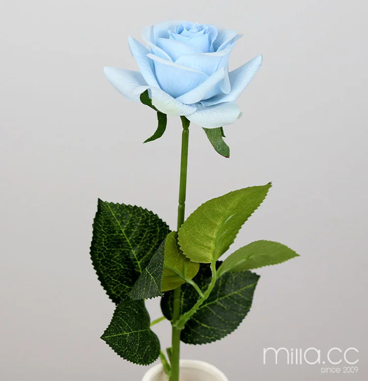 pale blue.png