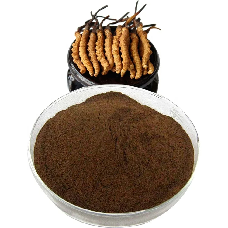 
Yartsa gunbu Powder Cordyceps Militaris Extract Cordyceps Mycelium Extract 