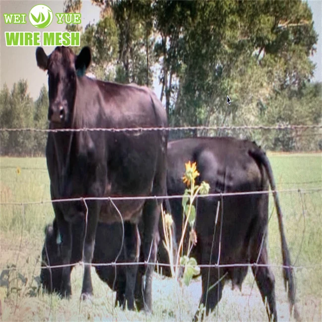 Hot dip galvanized wire grassland fences cattle sheep deer field  panels fencing