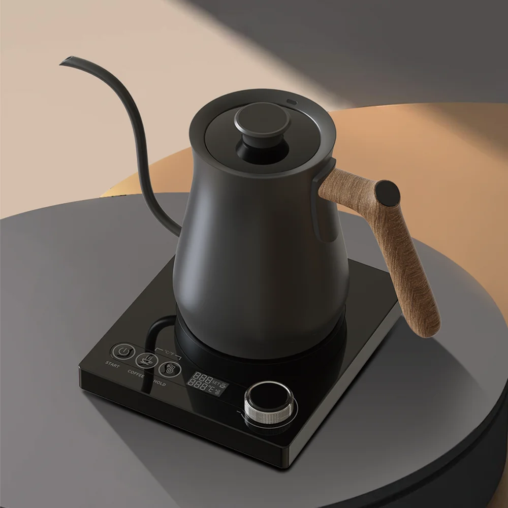 RANBEM Electric Pour-Over Gooseneck Coffee Kettle Keep Warm 4 Hours 1200W Quick Heating Tea Kettle