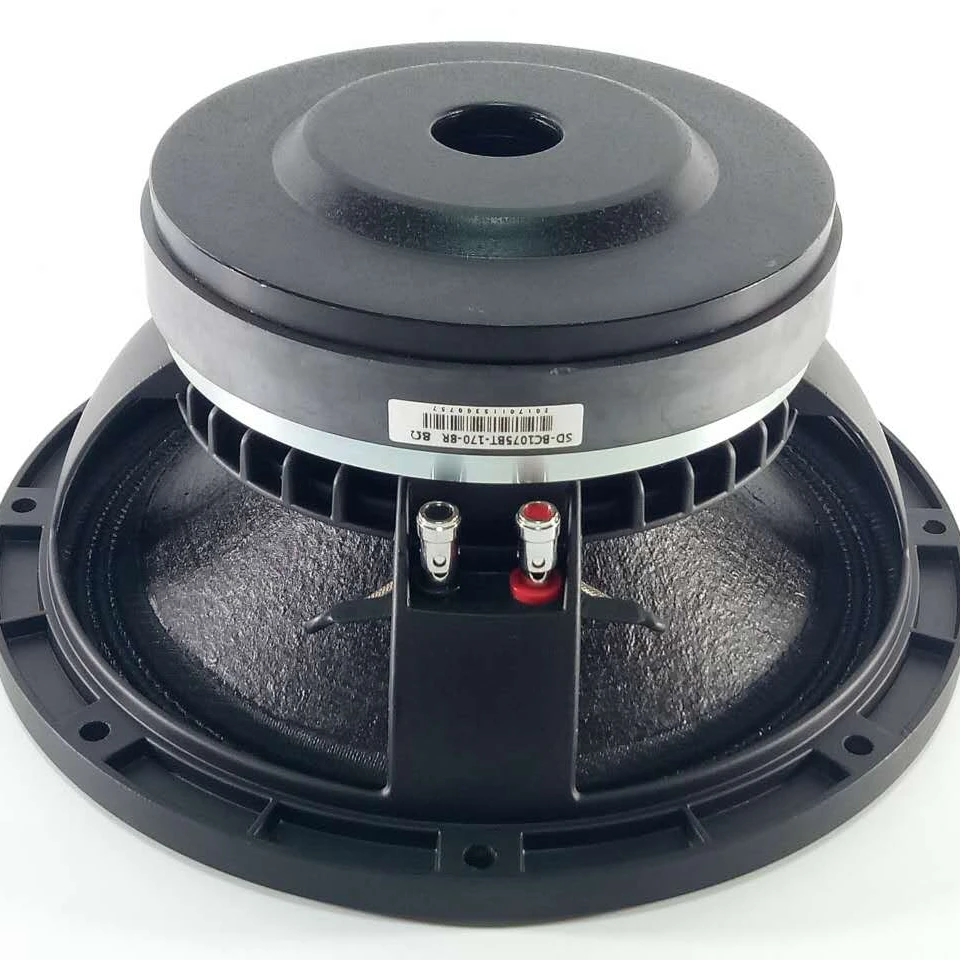 10 inch speaker, 1075-170T, big magnet , big voice coil