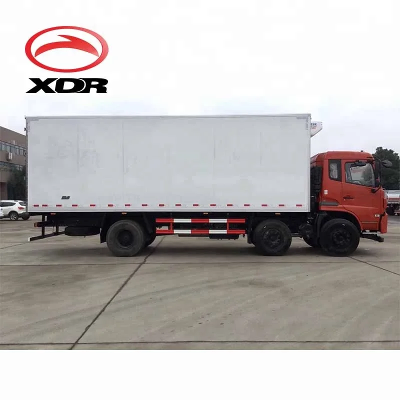 HOWO Diesel 10T Thermo King freezer refrigerator truck