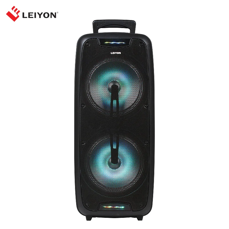 Dual 8 Inch Woofer PA System, Portable Karaoke Speaker with Flashing Lights, Rechargeable Battery Powered Karaoke Loudspeaker