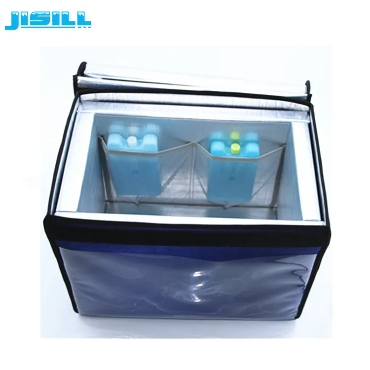 4L Thermal Insulated Insulin Vial Cooler Chiller Box With PCM Ice Bricks