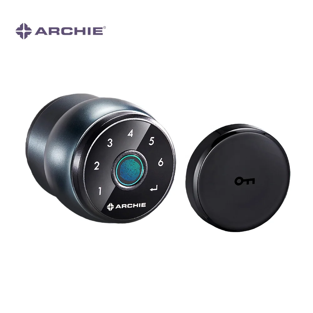 ARCHIE Anti-Tesla Coil Serratura Smart Door Lock Electronic Lock For Hotel