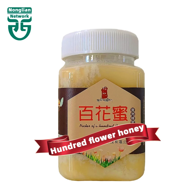 New Season Jujube Honey 100% Natural Mature Sidr Honey For Sale
