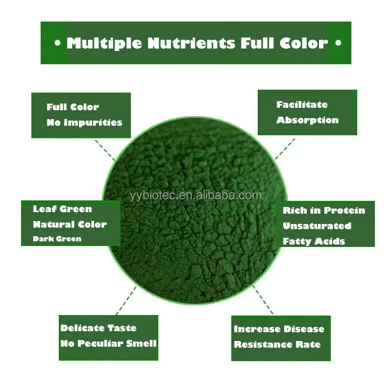 Private label High Quality Supply Organic Spirulina Capsule for Regulation of Blood System