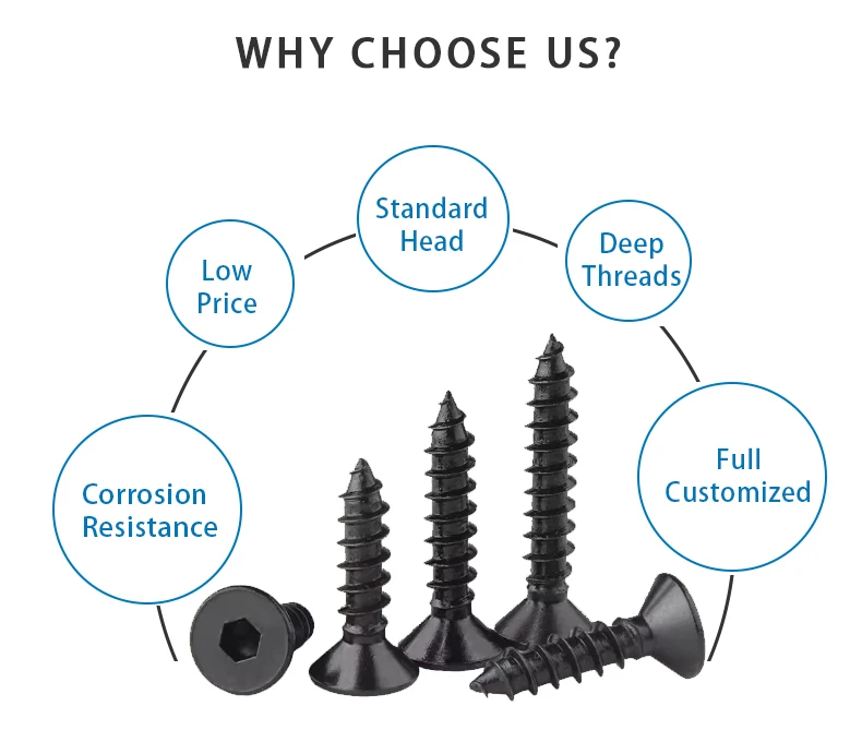 DIN ISO Cross Pan Head Drill Tapping Screws Cross Recessed Pan Head Drill Tapping Screws Self Drilling Tapping Screws