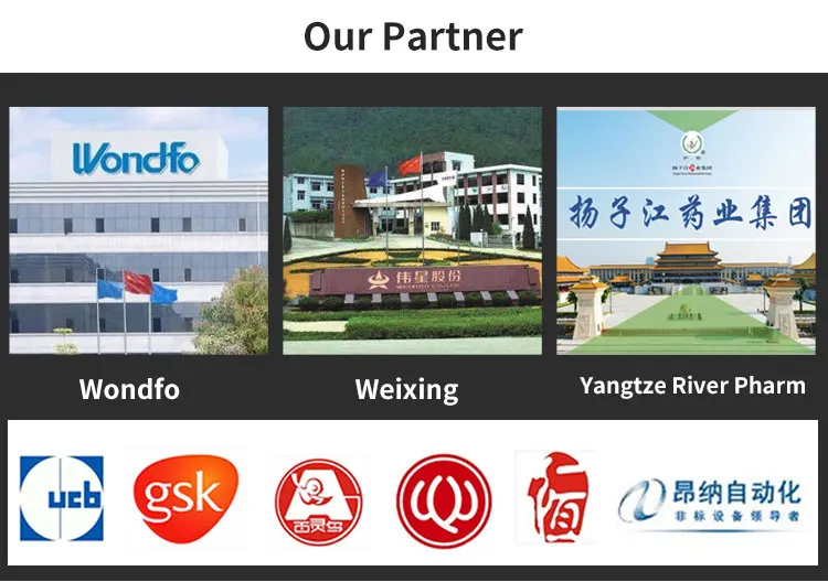 High Stability Quail Egg Counting Machine Automatic Counter Bottling Machine For Tablet Capsule Size 4#