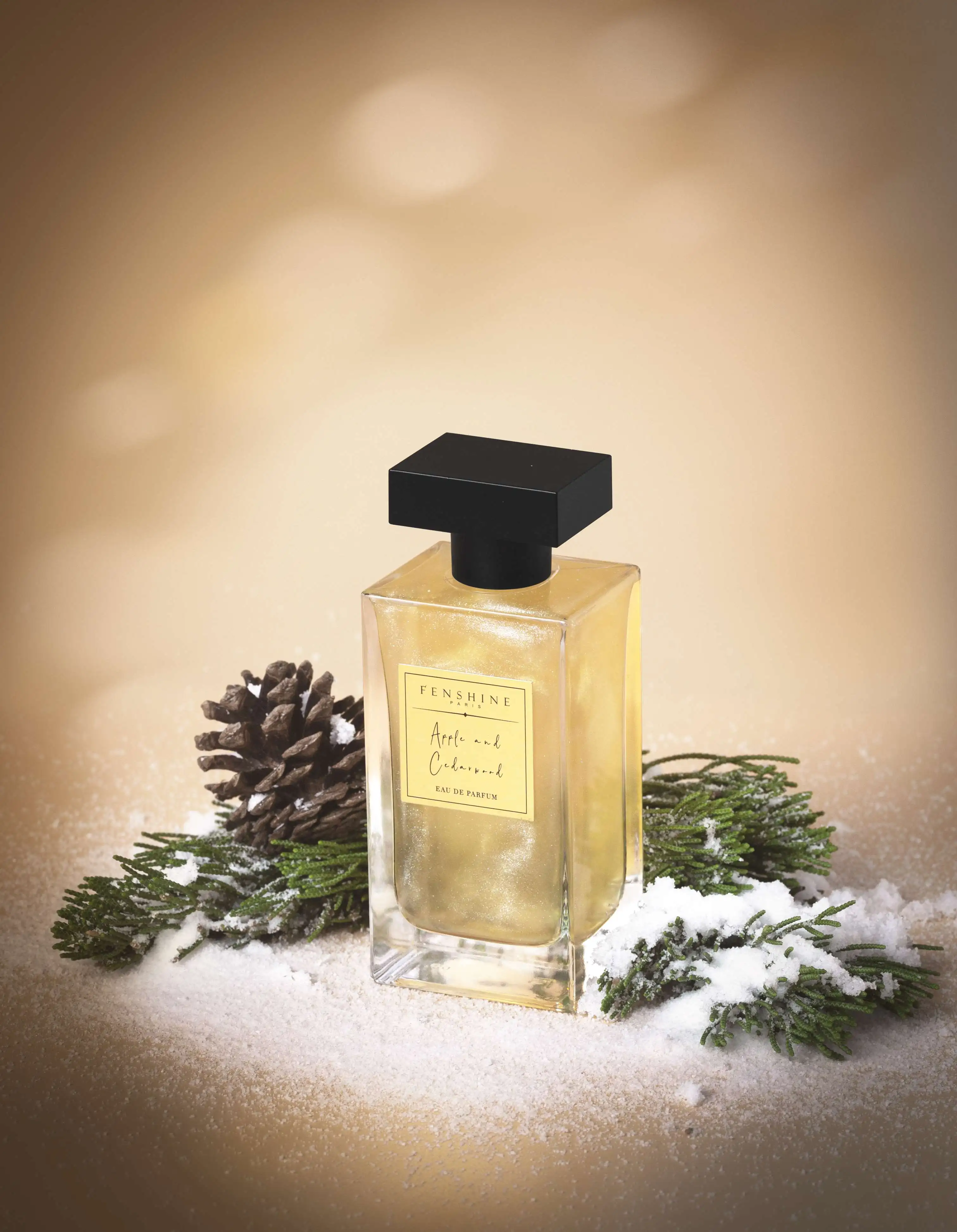 100 ML Men Luxury Design Perfume 100ml Body Spray Picture WOODY Female Mini Size Eau De Parfum Long Time Lasting Smell