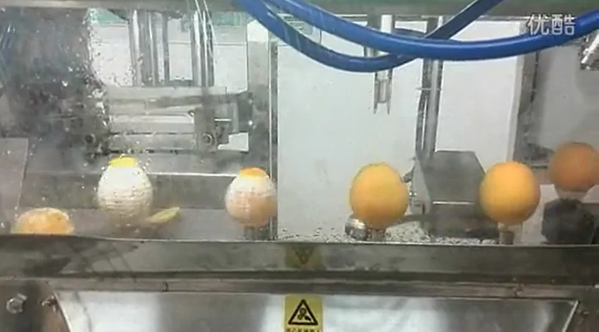 Hot sale full automatic peeling machine for orange and lemon