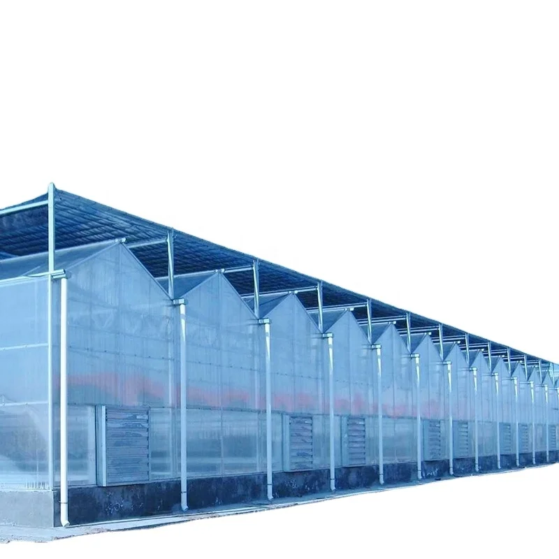 Best selling 100% new material polythene tunnel greenhouse ,UV protection plastic greenhouse  for growing vegetables