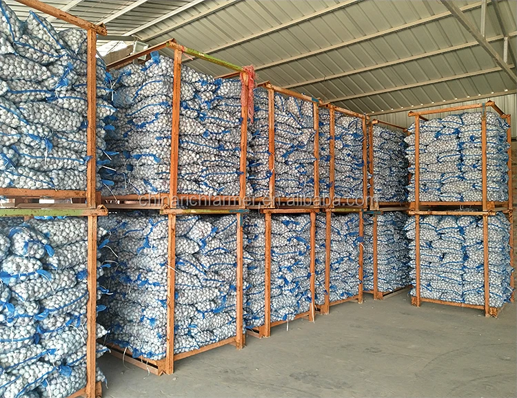 Wholesale 4.5cm 5.0cm 5.5cm 6.0cm 10kg Carton Normal White Fresh Garlic Price