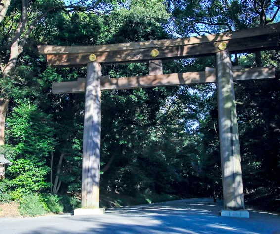 Самый дешевый международный логистический сервис, агент по закупкам taobao, экспедитор грузов из Китая в Японию