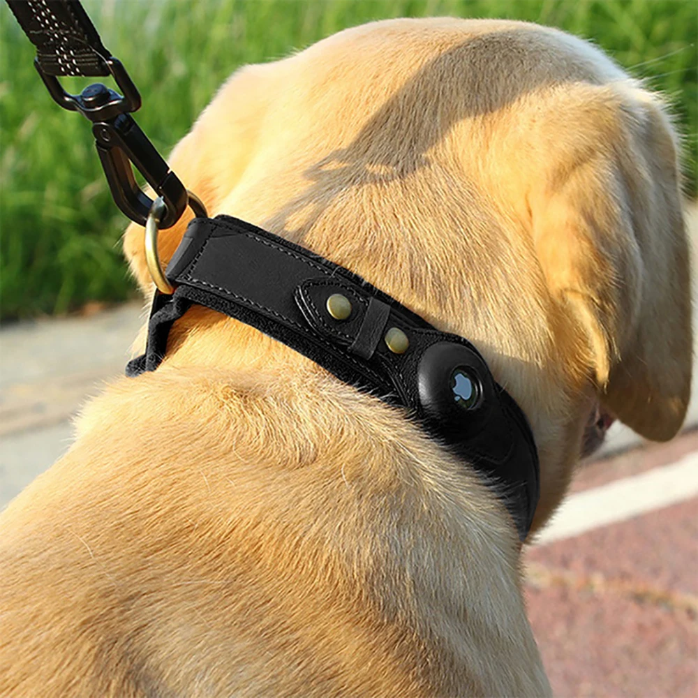Wholesale 2022 Pet Accessories High Quality Genuine Leather GPS Tracker AirTag Dog Collar