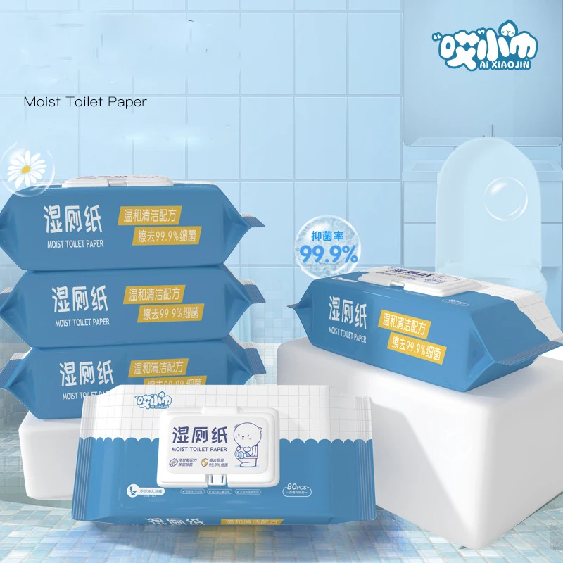 Individual Packaging Purified Water Wet Toilet Paper Ro Cleansing Wipes Flushable Moist Toilet Wet Wipes