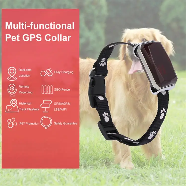 Modern Luxury Waterproof Small Tractive Pet Collar Dog Fitness Activity Health Gps Tracker 4g Collar