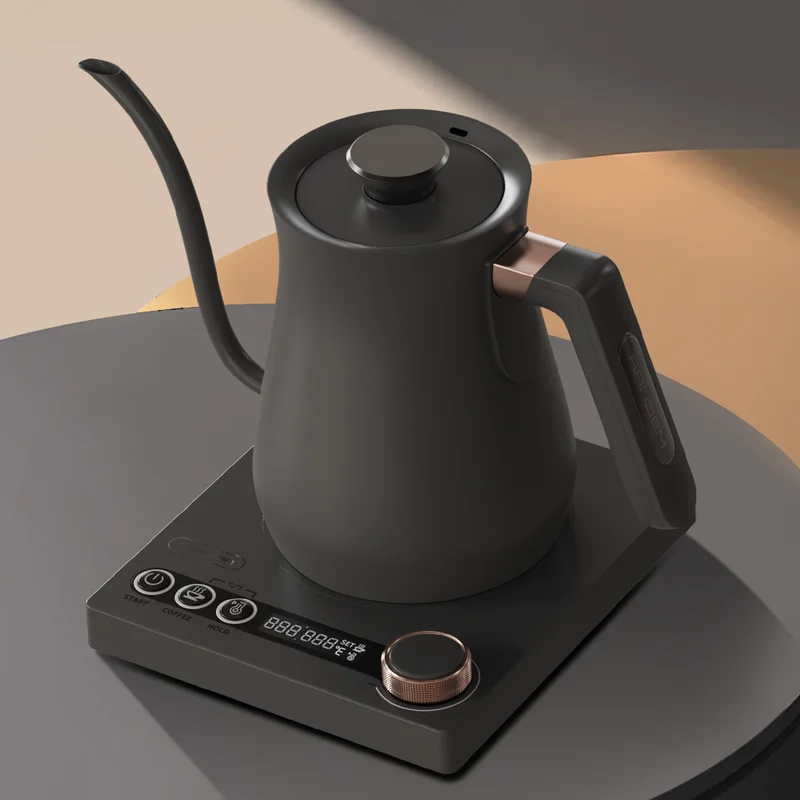 Ranbem LCD Panel Precise Digital Temperature Selection Tea Kettle with Strix Controller