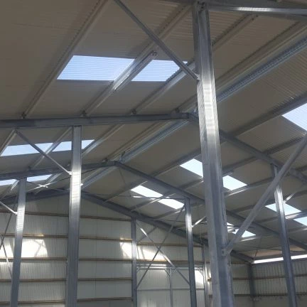 Goat Sheep Steel Structure Farmhouse