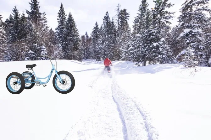 sand tricycle fat tire 3 whee cargo bike adult family cargo bike out door bike