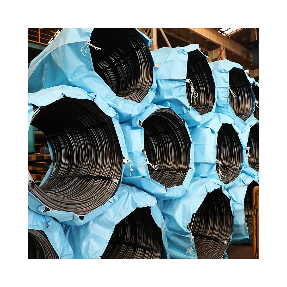 Hot Sale Quality Assurance Spring Steel Wire Bending And Stainless Steel Bending Spring