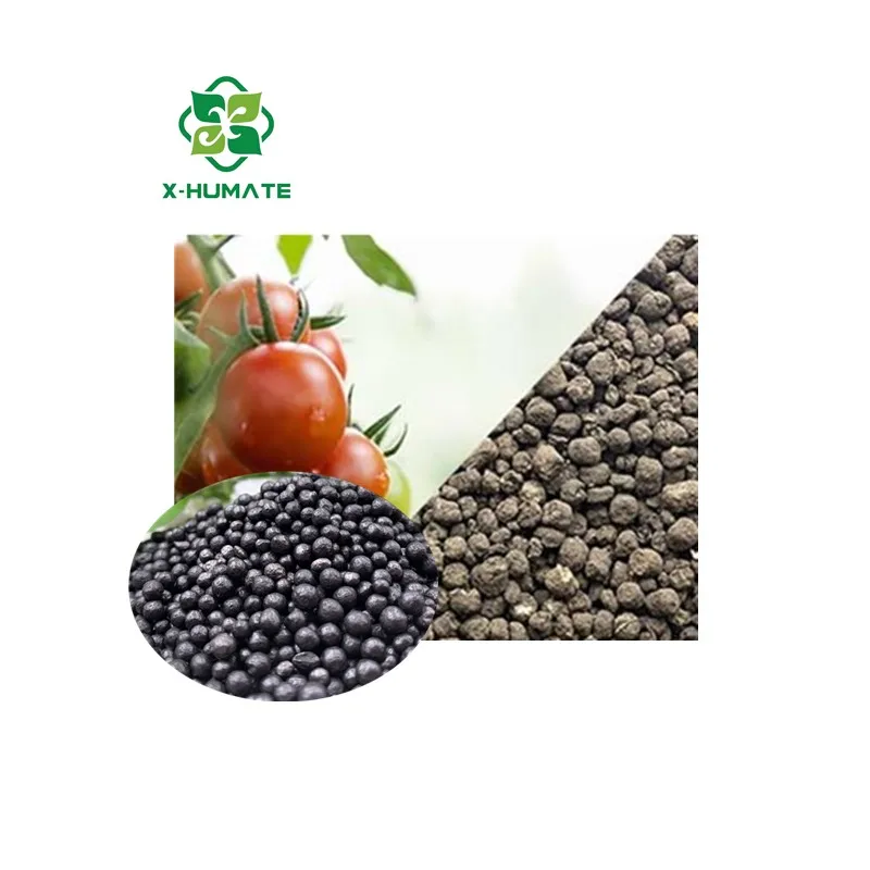 X-humate Great Bio Fertilizer Seaweed Extract Fertilizer For Banana good price Seaweed Extract