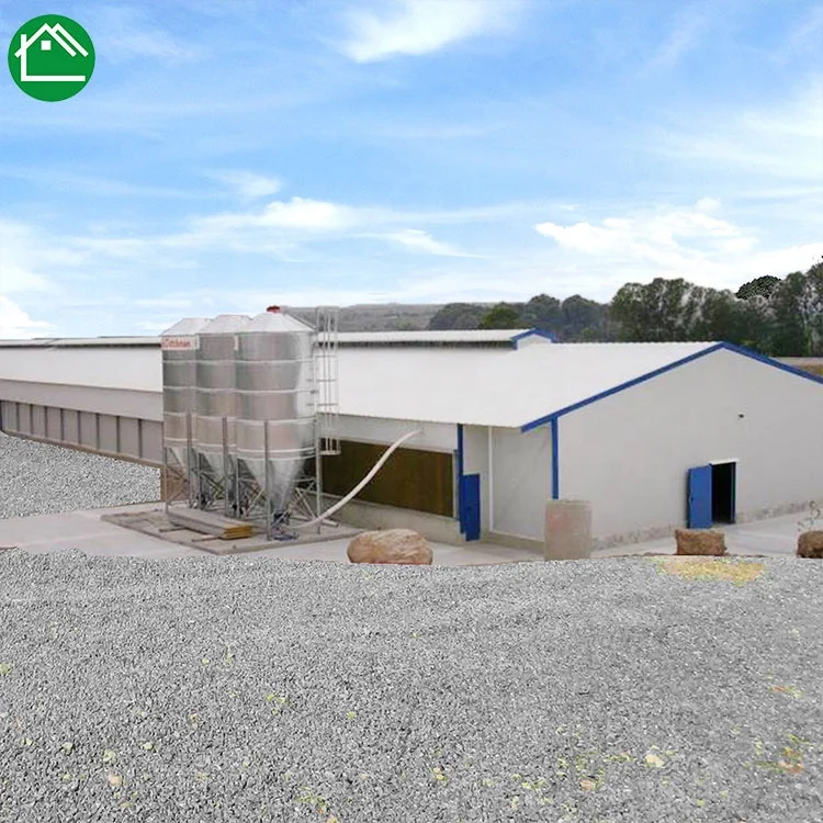 Китайский сборный коммерческий оцинкованный стальной конструктор для птицеводства курятник в